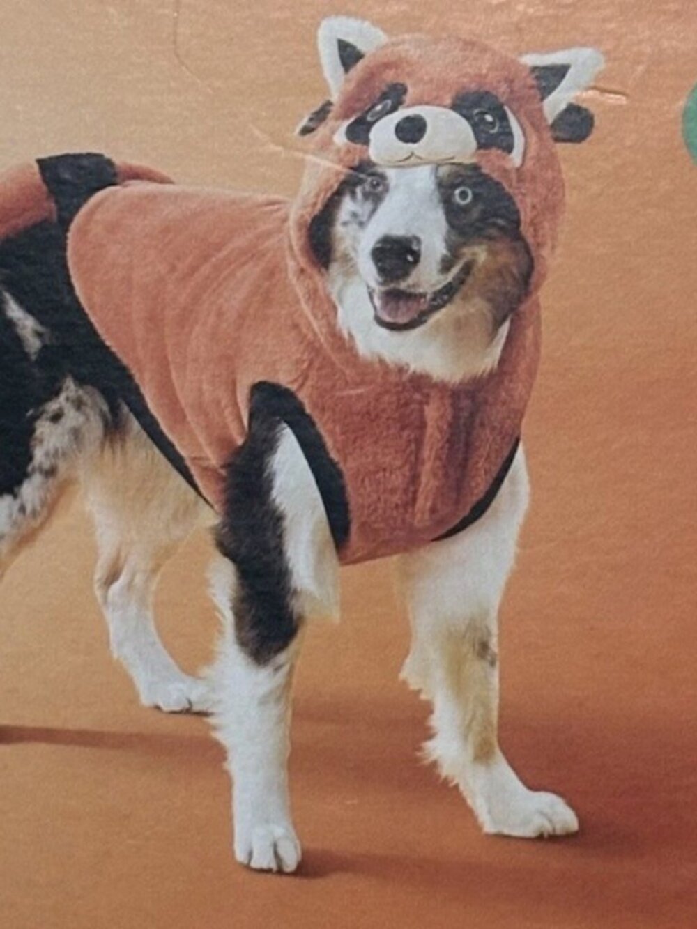 Boots & Barkley Racoon Dog Costume L Orange Black Beige NWT